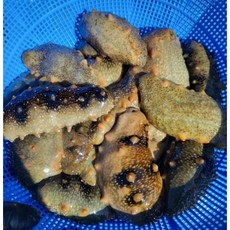 자연산해삼1세트(300g), 1개