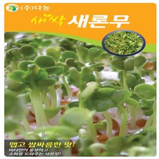 새싹새론무 씨앗 1kg