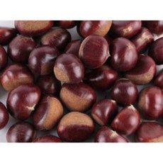정안 옥광밤 공주맛밤 계룡산 특대 밤뜨래 햇밤 알밤 2kg, 1개
