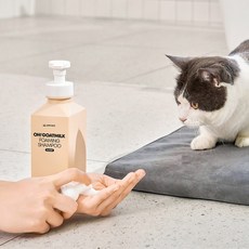 고양이 전용샴푸 마일드 비듬 샴푸 새끼고양이, 02. 리필팩 450ml, 1개, 510ml