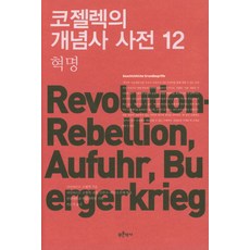 코젤렉의개념사사전