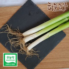 하늘농부 친환경 대파 300g 500g 1kg, 1개, 대파 500g
