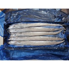 제주 냉동 선동갈치 10kg 은갈치 1박스 김장용갈치 갈치젓갈용갈치 갈치젓갈 은갈치 선동갈치 바띠바당, 1개, 혼합 R사이즈 55~57미 10kg 1박스