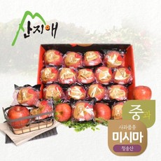 산지애 블랙라벨 더초이스 사과 3kg / 청송사과 미시마, 1개