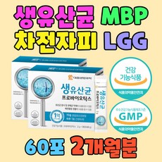 블루베리철