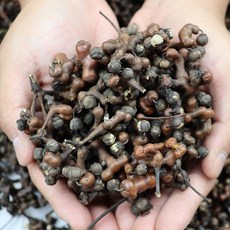 충북 제천 헛개열매 1kg, 1개
