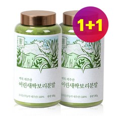 랩온랩 제주 새싹보리 분말 국산 1+1 360g 친환경 무농약 100% 원물