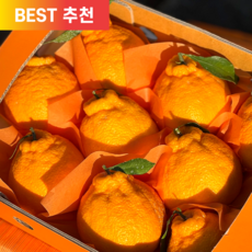 [러뷰팜] 제주 Premium 한라봉 고당도 가정용 선물용 1.5kg 2.5kg 4.5kg, 한라봉 가정용 1kg 소과(7-8과 내외)