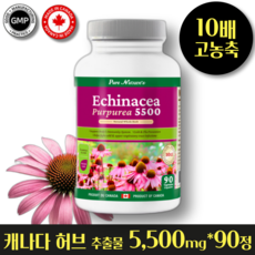 헬시마트 캐나다 감기 비염 염증에 좋은 천연항생제 10배 고 농축 5500mg 최고함량 면역력 높이는 기침 가래 콧물 기관지염 항암 항염 암환자 영양제, 1개, 90정