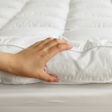 누비지오토퍼