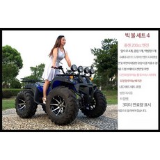 4륜 사륜 산악 해변 비치 바이크 오프로드 오토바이 ATV 농업 차량 자동, H