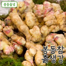 봉동들녘생강진액