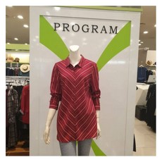 느린학습자를위한기획력향상프로그램