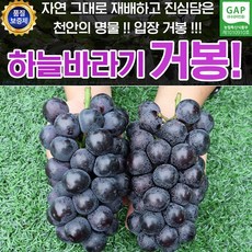 천안농막