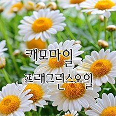 [허니솝] 프래그런스 오일 20ml 50ml 100ml 비누만들기재료 화장품DIY, 16. 캐모마일f.o x 50ml - 허니솝