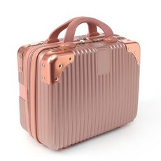 카카오프렌즈레디백