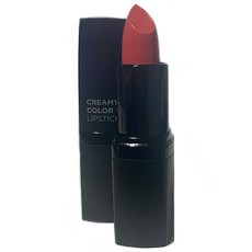 더페이스샵립스틱