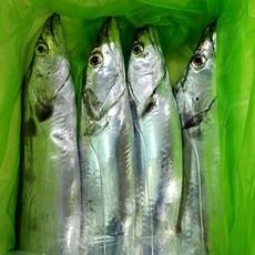 [새벽경매] 제주갈치 생갈치, 생물갈치 왕특대+ 800g 2마리 1.6kg, 1개