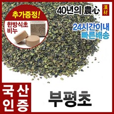 자애인 국산 부평초 300g 개구리밥 건조 경북영천, 1개