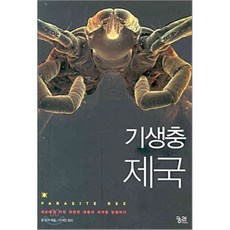 짐머만책