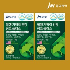 JW 중외제약 징코플러스 은행잎추출물(미국산) 120mg 비타민E 비타민B1 B2 B6 아연, 30정, 2개