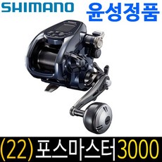포마3000