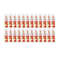 동원보성홍차 아이스티 애플 제로, 500ml, 24개