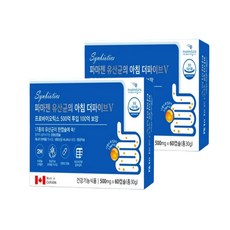 비바채 더파이브 V 락토바실러스 피부 프리바이오틱스 임산부 변비 유산균, 120개, 4개월