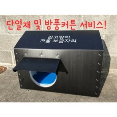 대구옥탑방고양이