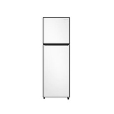 삼성전자 삼성 RT16BG013WW 소형냉장고 2도어