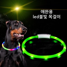 윈티크 애완용 사고 예방 LED 불빛 목줄, 그린, 1개