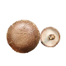 국산 무농약 표고버섯, 하품 1kg *추천*, 1개, 하품 1kg
