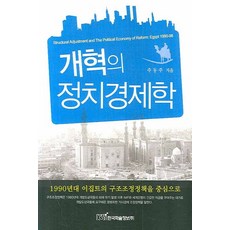 개혁의 정치경제학, 한국학술정보, 주동주 저