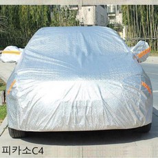 피카소502