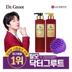 닥터그루트두피브러쉬