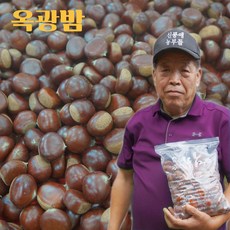 대두보늬밤