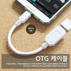 H블루몰 USB젠더List DW TMT OTG 케이블 10cm 흰색 // 샌디스크usb 유에스비 usbotgc-타입, 1개