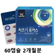 차즈기효능