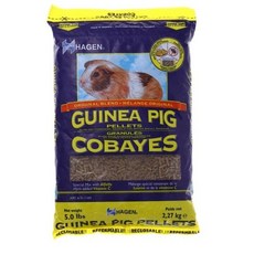 제네시스기니피그사료