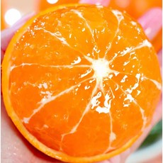 [꿀과즙brix보장] 역대초특가 유명농장직송 레드향 가정용, 1개, 2kg