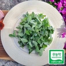 데코용애플민트