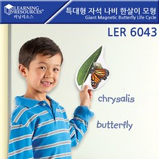 러닝리소스곤충