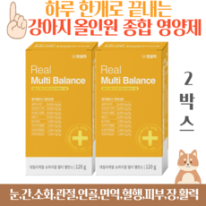 펫생각 리얼 멀티밸런스 강아지 종합 영양제 비타민 눈 간 피부 관절 면역력 성장기 노령견 120g, 2개, 종합영양제