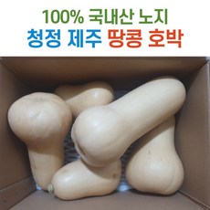 따마토