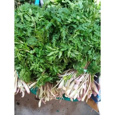 자연산 울릉도 전호나물 1kg, 2개