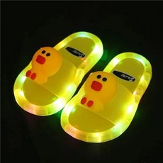 병아리신발