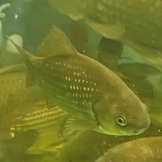 c3fb2482fabcabe01a9421137005d35e6815fe751a31f5c3e5f82e72f3b2.jpg