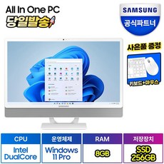 삼성전자 올인원 일체형 PC 프로스트 화이트 DM530ADA-L25AH (팬티엄-7505 60.5cm WIN11 RAM 8GB SSD 256GB)