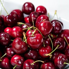 달콤새콤 생 체리 9R-9.5R