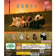 케로로 군조 마치 보케입니다 [전 5 종 세트 (풀 콤프)] 가챠 가챠 가챠